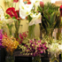 Best Florists and Flower Shops in Scottsdale